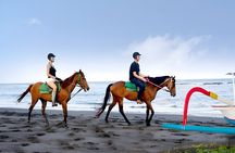 Bali Horse Riding and ATV Ride Packages : Best Quad Bike Trip
