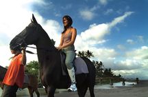 Bali Horse Riding in Saba Bay for 1 Hour with Pick Up Service