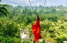 Amazing Bali Swing Experience with Ubud Full Day Tour