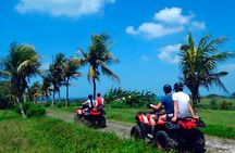 Bali Quad Bike: 2 Hours ATV Ride Adventure Activity
