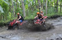 Bali Quad Bike and Tanah Lot Sunset Tour