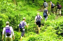 Jungle Trekking and Tamblingan Lake Canoeing in Bali Rainforest