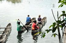 Jungle Trekking and Tamblingan Lake Canoeing in Bali Rainforest