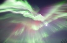 1 Day Shared Tour Arctic Circle and Aurora Viewing in Alaska