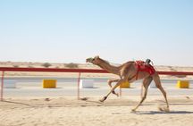 Private Combo Tour to Sheikh Faisal Museum and Camel Racing Track