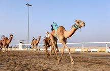 Private Tour for Western Wonders in Qatar West Coast