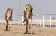 Private Combo Tour to Sheikh Faisal Museum and Camel Racing Track