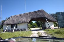 Moremi Full Day Trip In The World Renowned Moremi Game Reserve