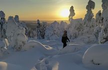 Private Snowshoeing in Levi