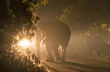 4x4 Stargazing and Moonlight Experience in the Bush