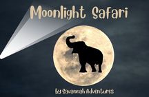 Stargazing and Moonlight Experience