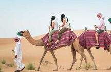 6 Hours Private Guided Classic Heritage Safari Tour in Dubai