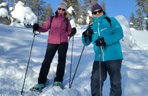 Private Snowshoeing in Levi