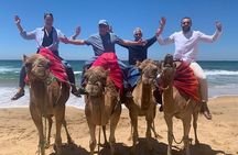 Luxury Private Tangier Tour with Lunch and Camel Ride