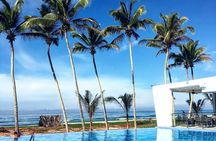 7 Days Tour in Sri Lanka with 4 Star HB Accommodations