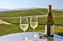 Shore Excursion in SFO - Enchanted Napa & Sonoma Wine Tour in SUV