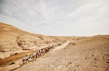 Camel Ride Day Trip in Desert Agafay and Atlas Mountains