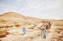 Camel Ride Day Trip in Desert Agafay and Atlas Mountains