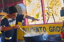Full Day Garifuna Cultural Immersion in Hopkins Village of Belize