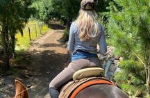 Horseback, Culture & Mexican Flavors Experience