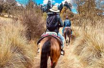 Horseback, Culture & Mexican Flavors Experience