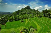 Telaga Waja White Water Rafting and Besakih Temple Tour