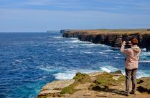 Private Half-Day Tour in Kirkwall: Ancient Orkney Heritage