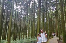 Private Tour in Jeju Island All Inclusive with Lunch