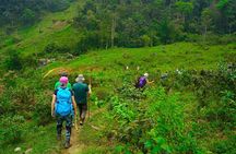 1-Day Trekking in Ha Giang