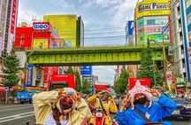Official Street Go-Kart Tour - Akihabara