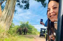 Udawalawe National Park Half Day Jeep Safari (Private Tour)