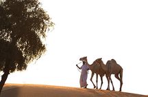 Quad Bike Group Tour in dubai with Pick up and Drop off