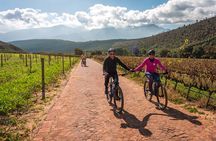 Franschhoek E-bike Ride & Wine w.Lunch