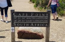 Private Sightseeing Tour to Table Mountain Penguins Cape Point