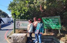 Private Sightseeing Tour to Table Mountain Penguins Cape Point
