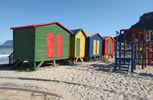 Private Sightseeing Tour to Table Mountain Penguins Cape Point