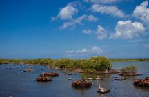 Private Buggy Tour and Punta Sur Park in Cozumel