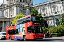 Hop on Hop off Bus Tour (24h)