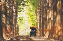 Special Private Tour Nami Island, Rail Bike, Petite France