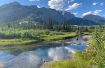 PRIVATE TOUR: Kananaskis Safari Drive and Guided Nature Walk 4H