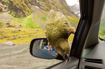 Arthurs Pass Day Tour With Jet boat Ride 