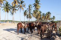 Horseback Riding Adventure in Punta Cana