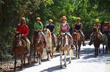 Horseback Riding Adventure in Punta Cana