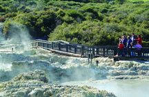 ROTORUA - Hell's Gate Geothermal Park & Mud Spa Day Trip