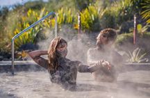 ROTORUA - Hell's Gate Geothermal Park & Mud Spa Day Trip
