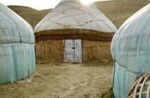 2 Days Private Tour To Aral Sea from Nukus.