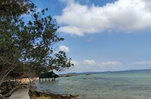Full Day North of Phu Quoc Island Private Tour by Local Guide 