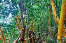 Full Day North of Phu Quoc Island Private Tour by Local Guide 