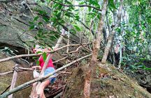 Full Day North of Phu Quoc Island Private Tour by Local Guide 