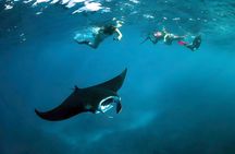 Nusa Penida Snorkeling Tour - Departure From Bali